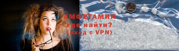 мет Алексин